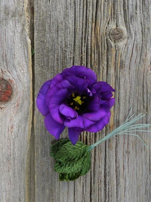 PURPLE LISIANTHUS